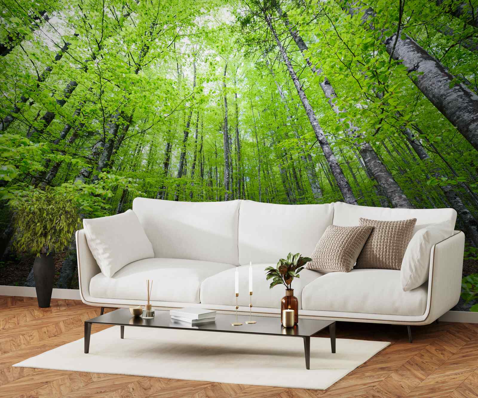 Fototapeta zelené koruny stromov v lese jasne žiaria