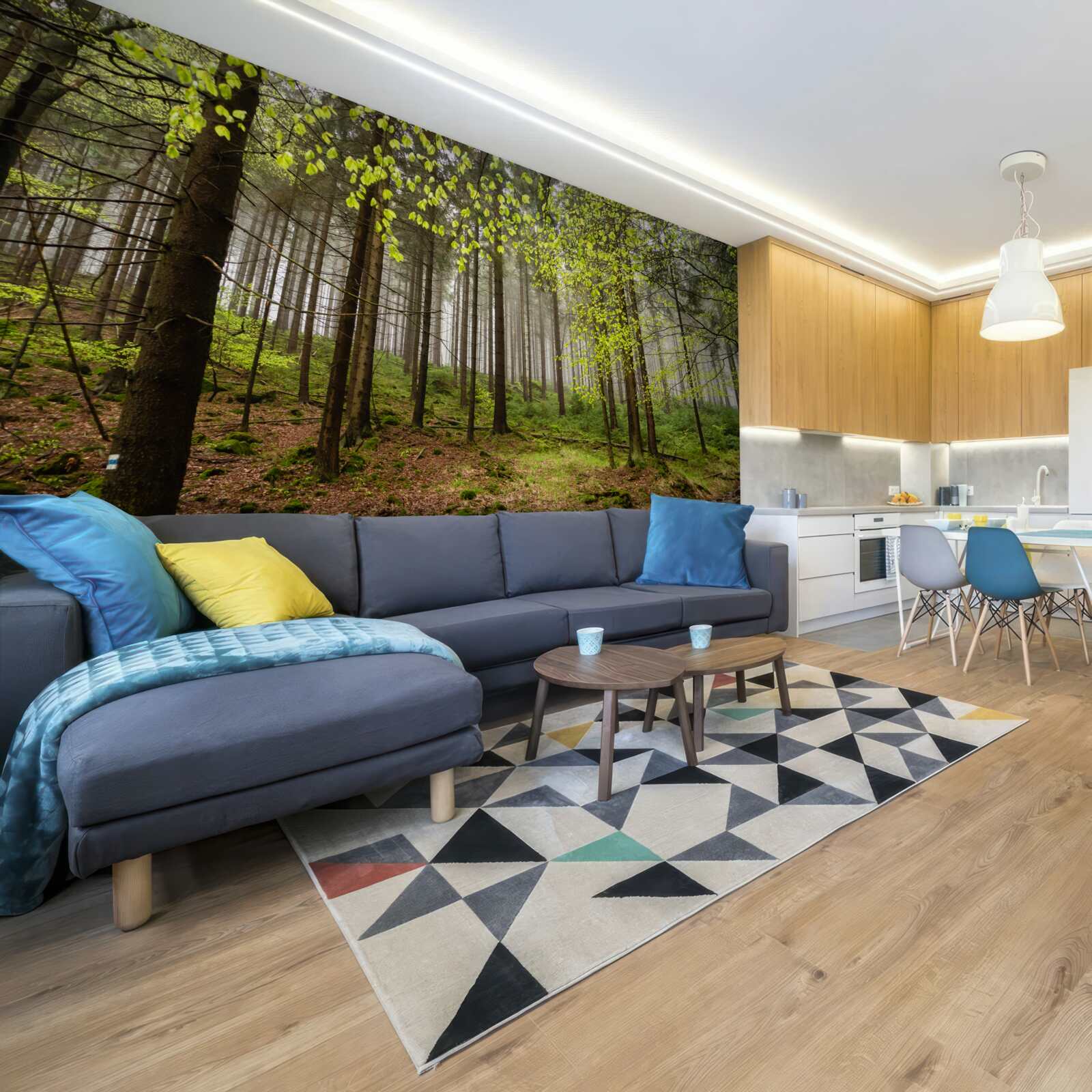 Fototapeta zelený les po daždi