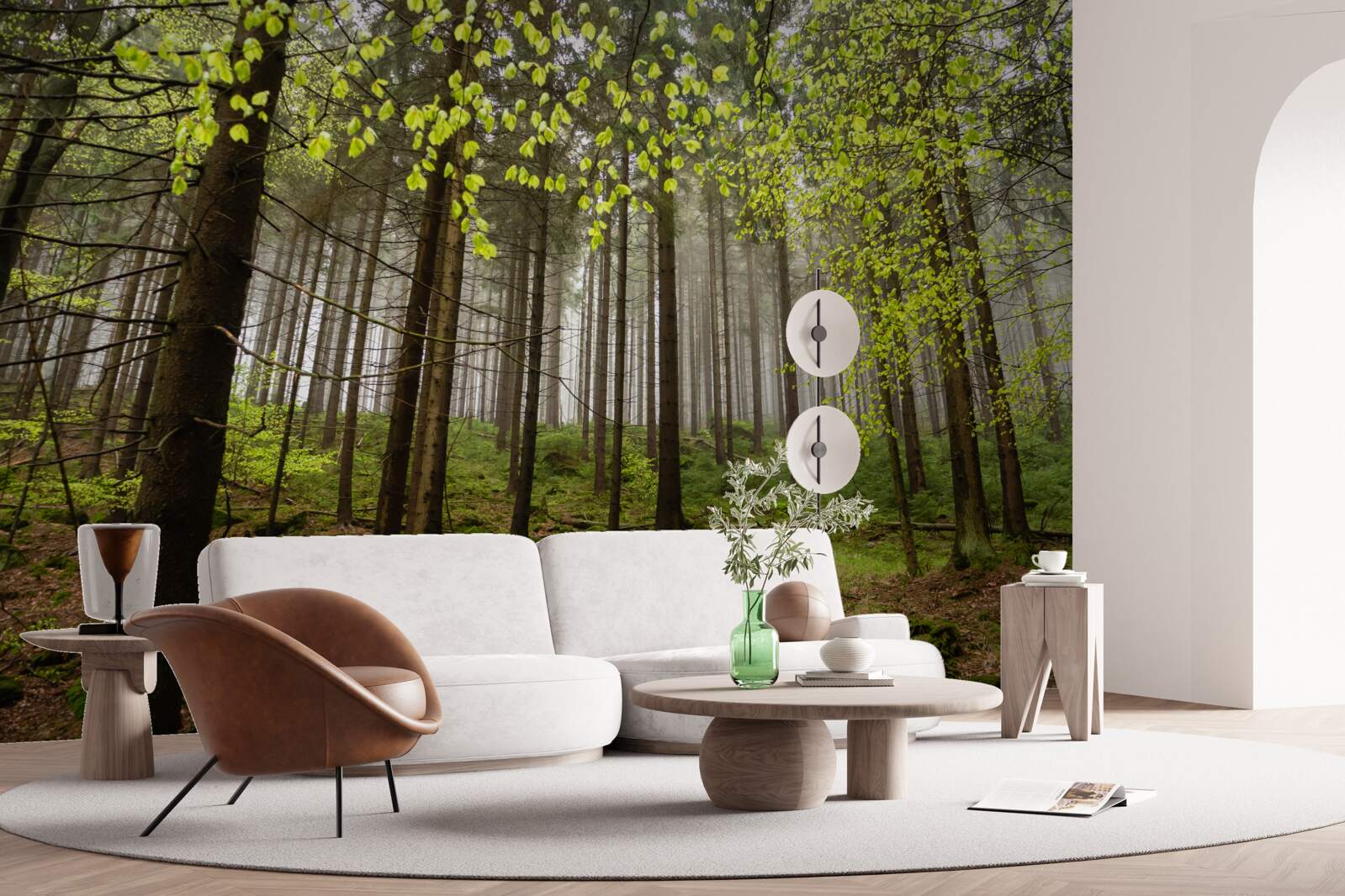 Fototapeta zelený les po daždi