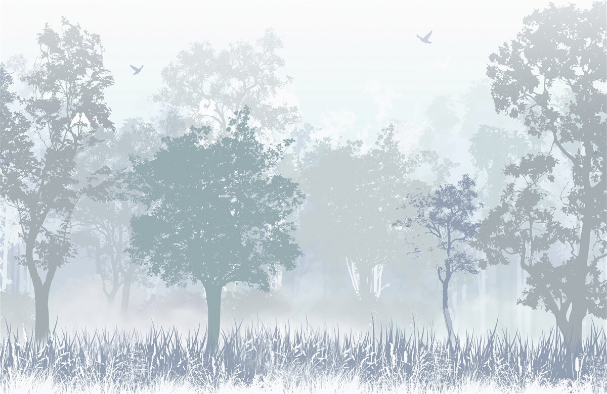 Fototapeta ranný les zahalený v hmle