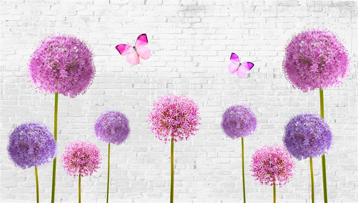 Fototapeta nadýchané púpavy vo všetkých farbách