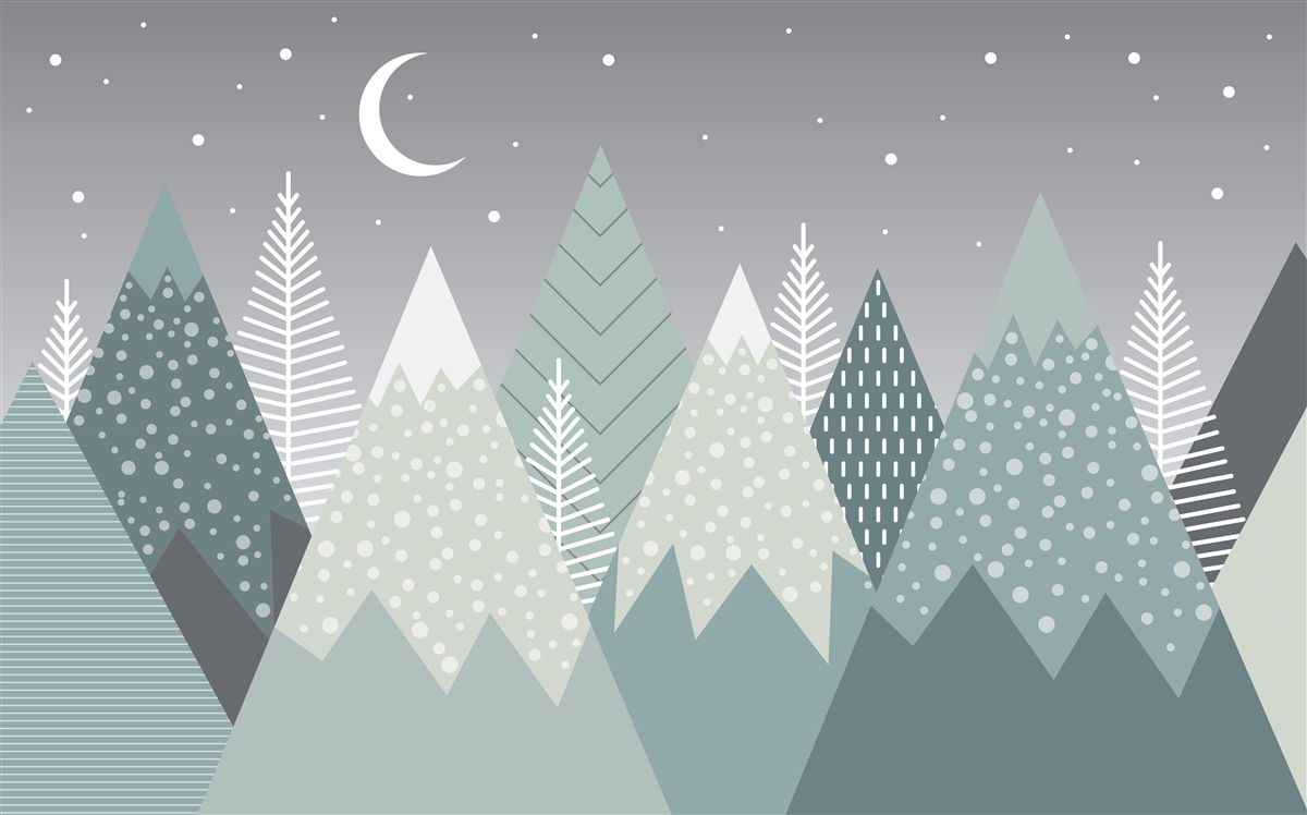 Fototapeta les ihličnatých stromov v mesačnom svite