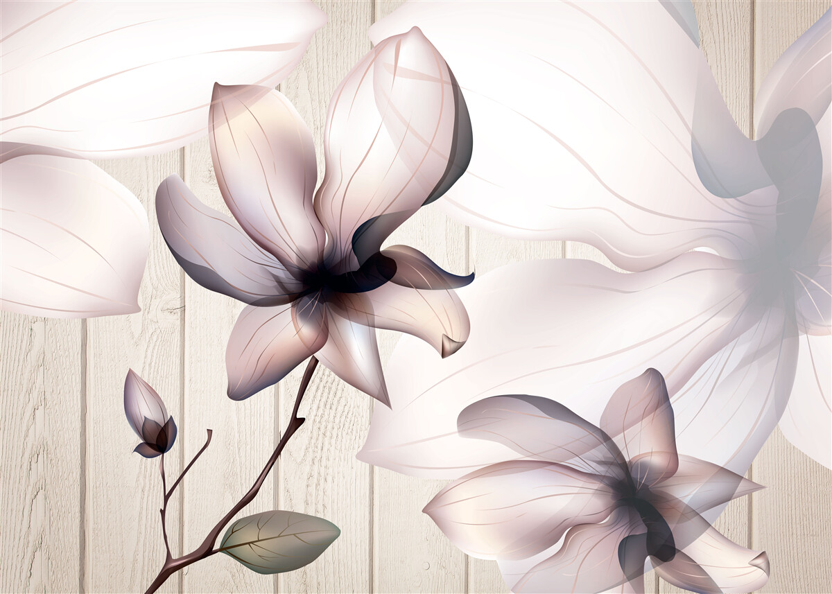 Fototapeta veľké svetlé kvety na strome