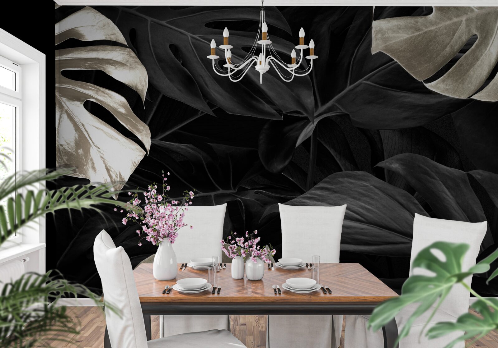 Fototapeta Snehobiele listy monstera na čiernom pozadí