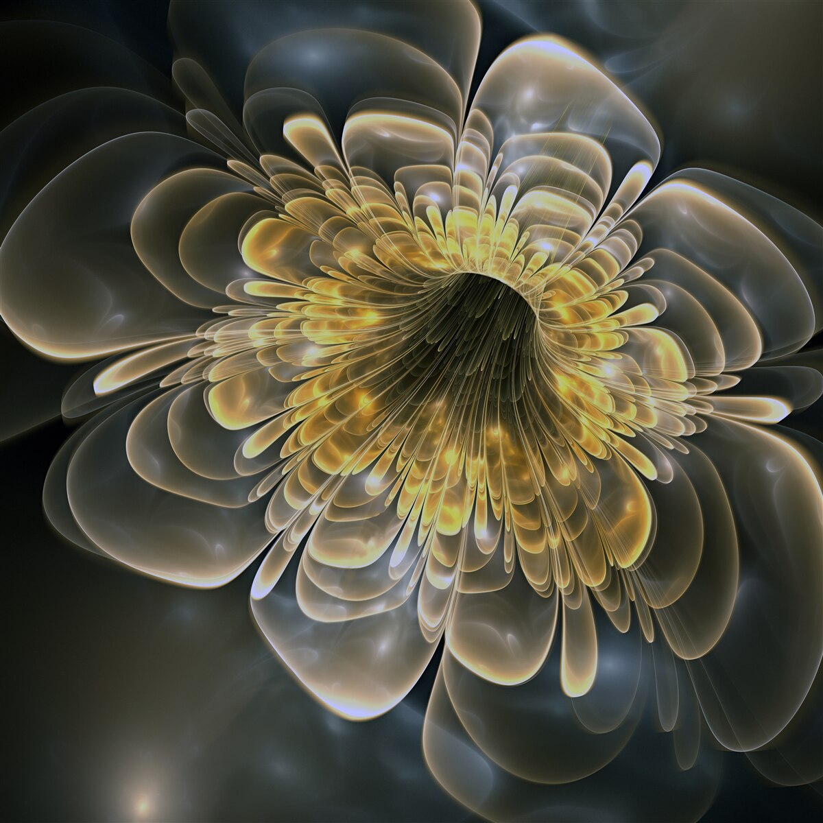 Fototapeta Žltý kvet s abstraktným tvarom