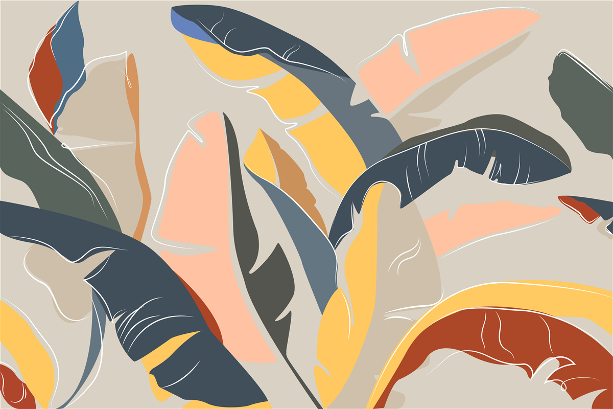 Fototapeta vysoké a bohaté listy paprade