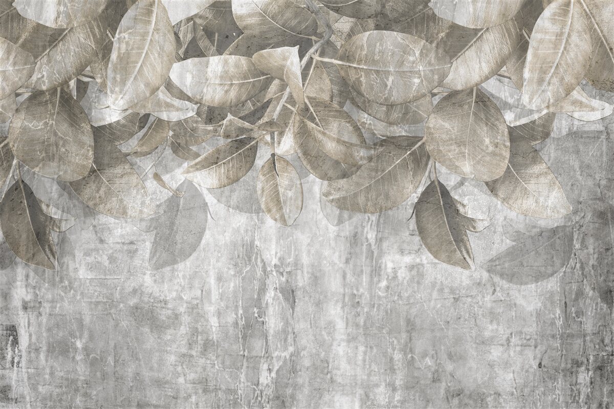 Fototapeta listy eukalyptu padajú na zem