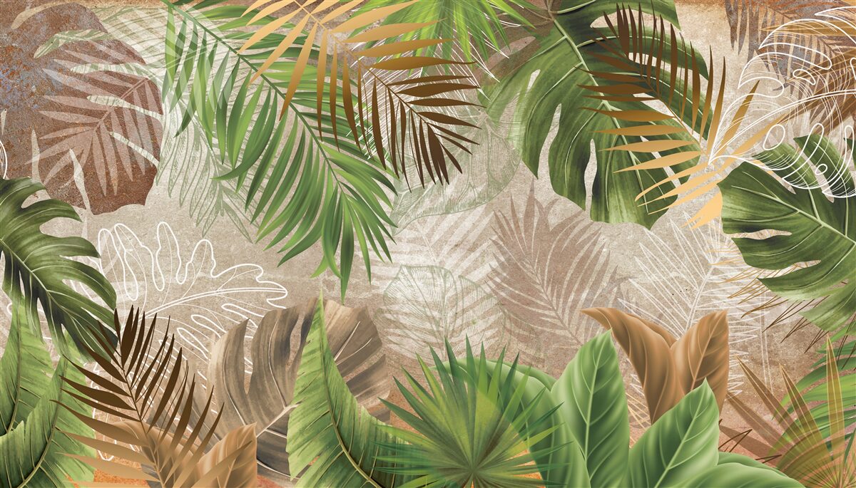 Fototapeta rôzne zelené paprade