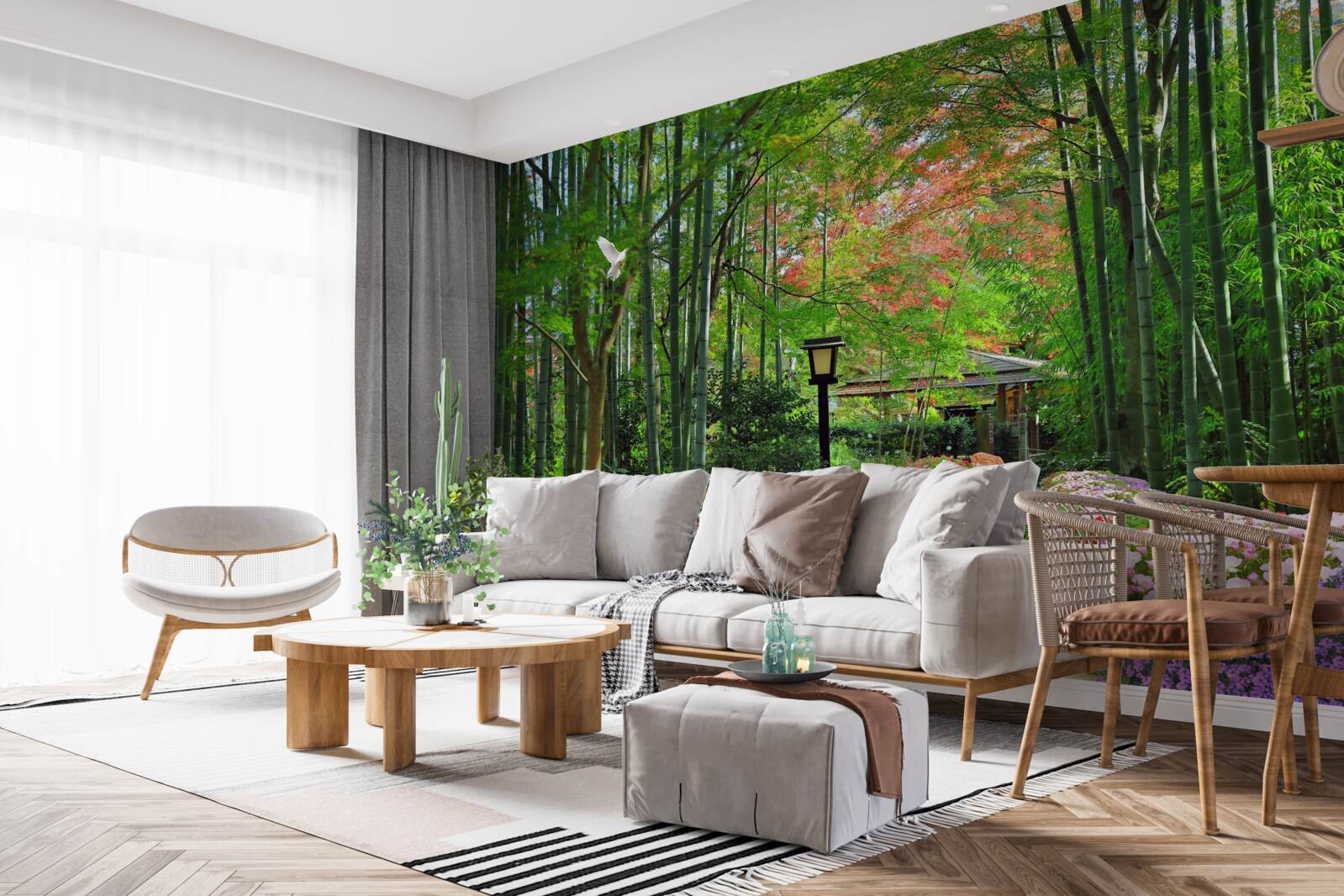 Fototapeta fotografia lesa so zeleňou a cestou