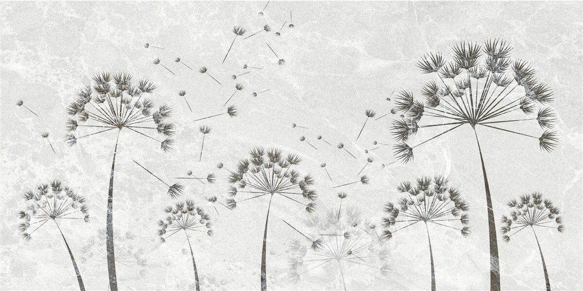 Fototapeta vietor rozhadzuje lupene púpavy