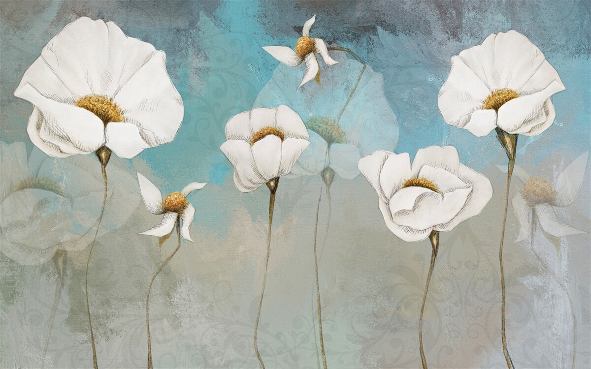 Fototapeta jemné biele kvety maku