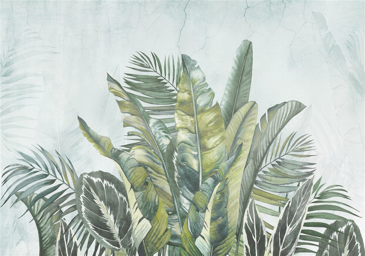 Fototapeta zelená húština tropickej vegetácie