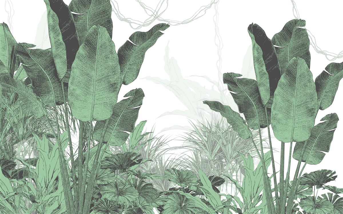 Fototapeta veľké tropické listy značnej veľkosti