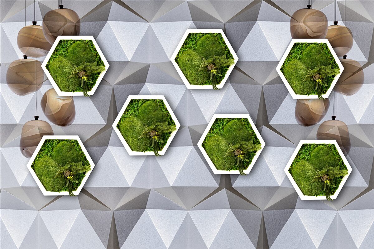 Fototapeta rastliny v tvare päťuholníka