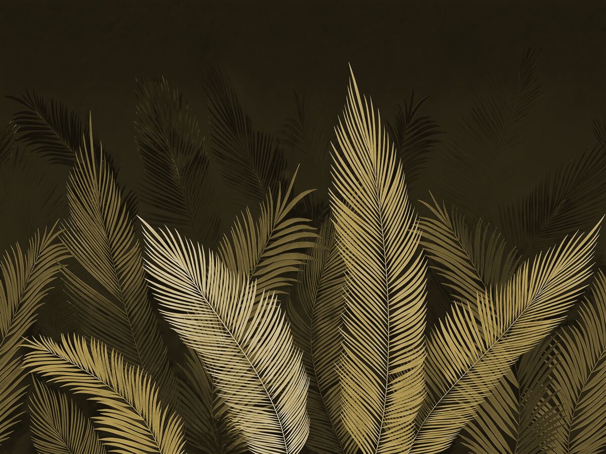 Fototapeta listy paprade v nočnom lese