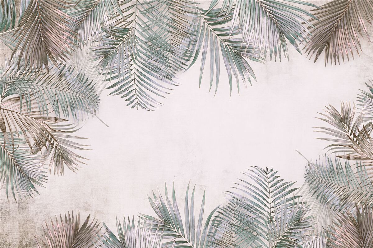 Fototapeta svieže listy paprade na sivom pozadí