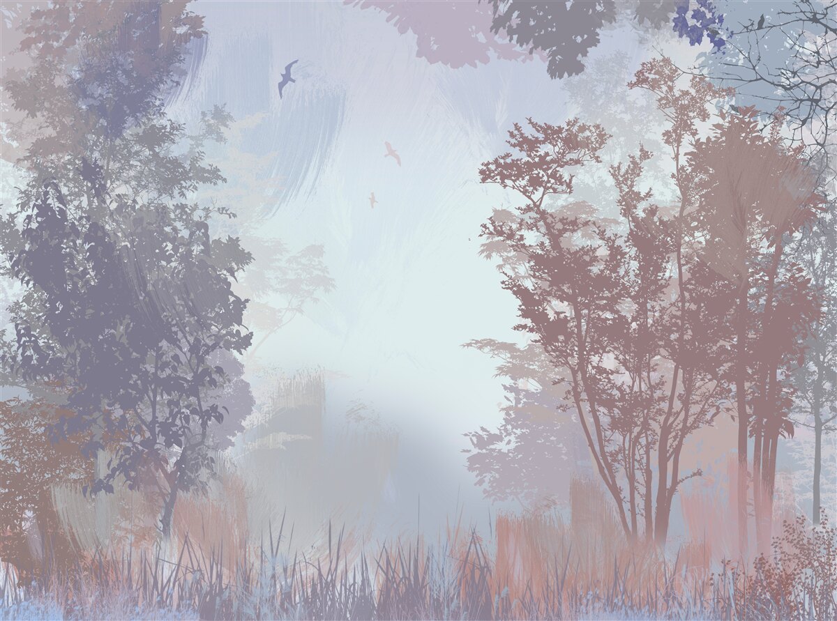 Fototapeta ráno v jesennom lese