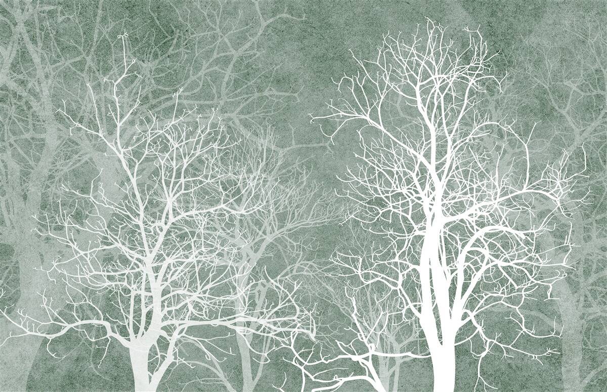 Fototapeta stromy v snehobielej výzdobe proti nočnej oblohe