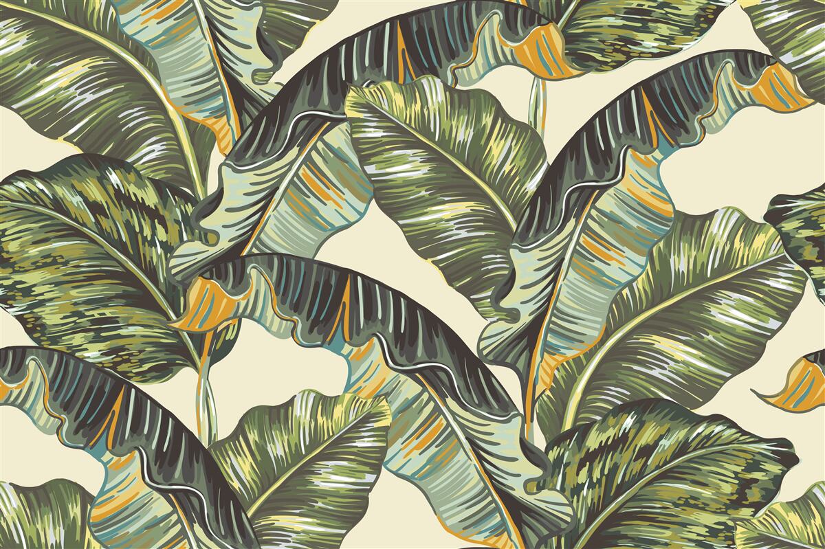 Fototapeta veľa odtieňov na listoch papradí