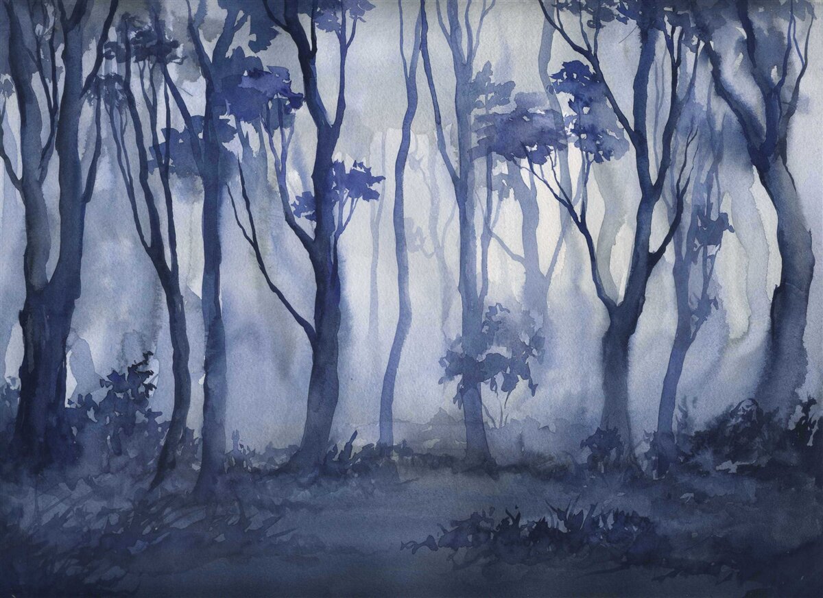 Fototapeta hustá hmla v hustom lese