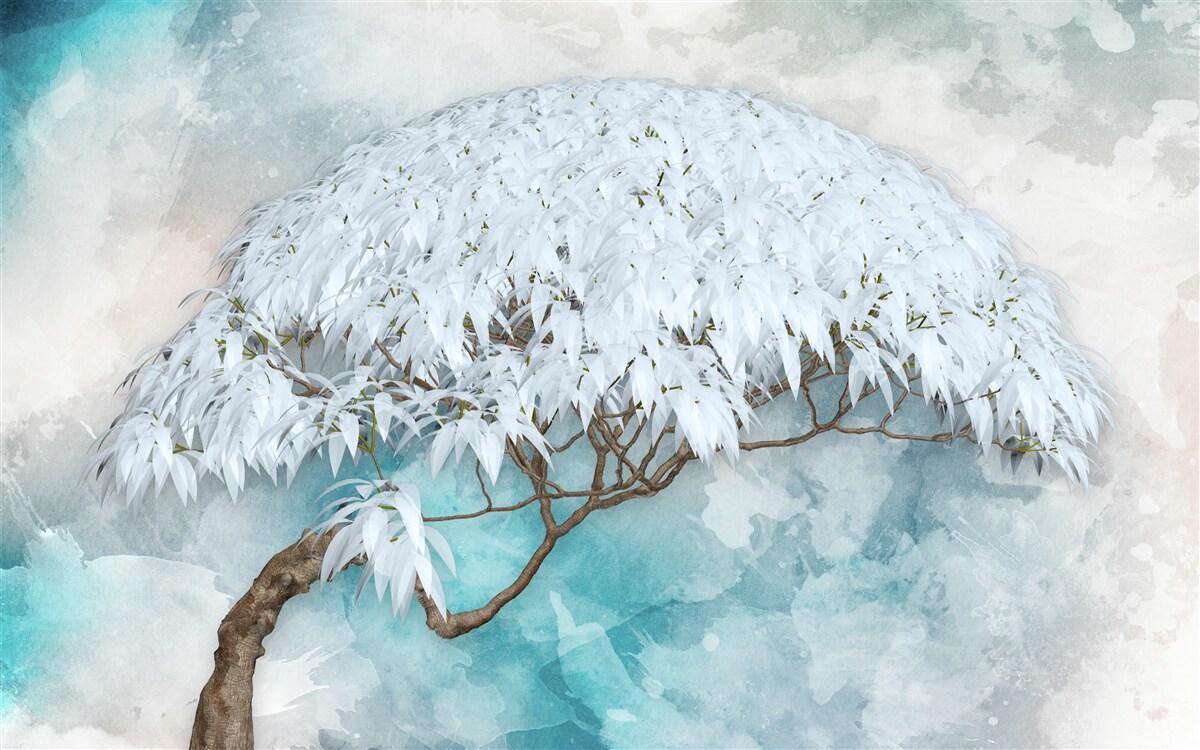 Fototapeta pod rúškom noci je snehobiela bujná papraď