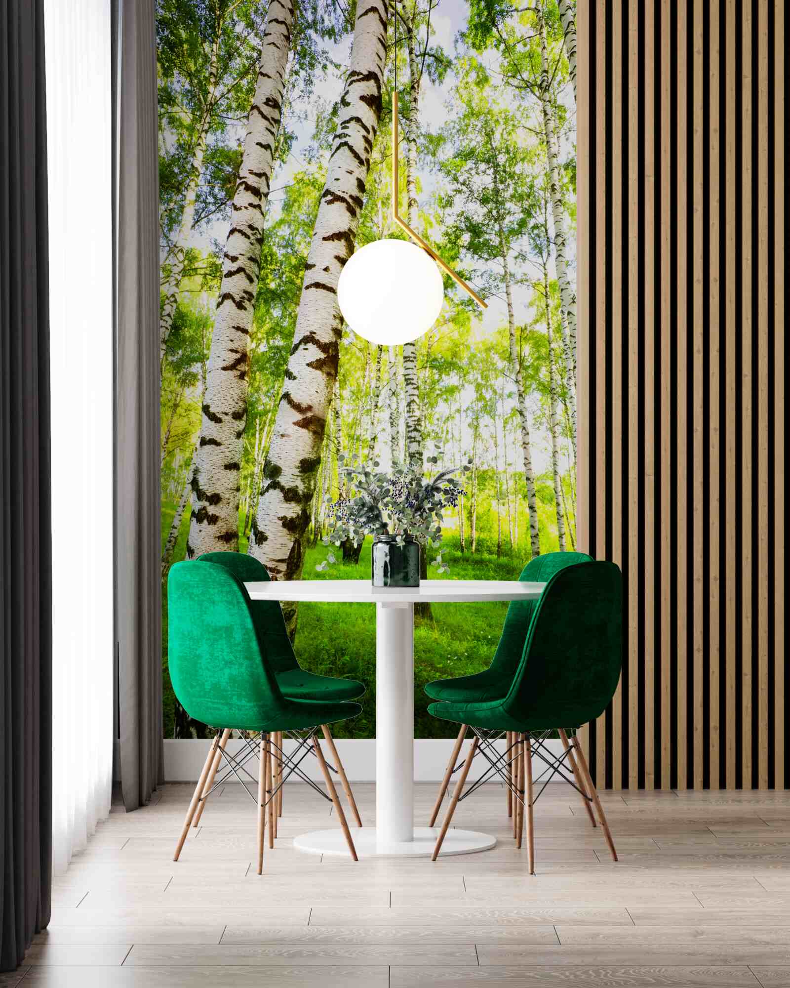 Fototapeta letný háj štíhlych briez