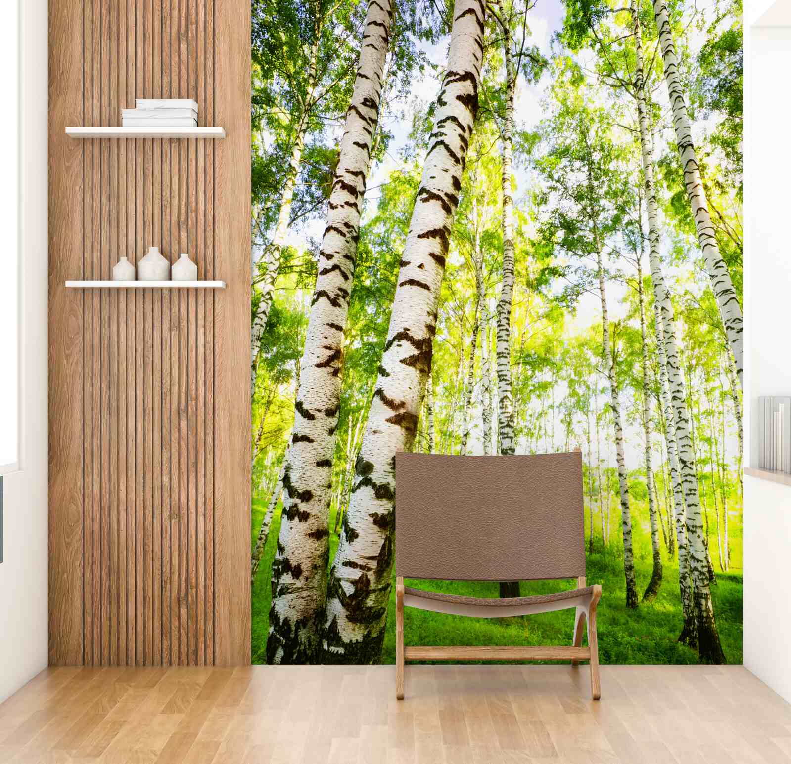 Fototapeta letný háj štíhlych briez