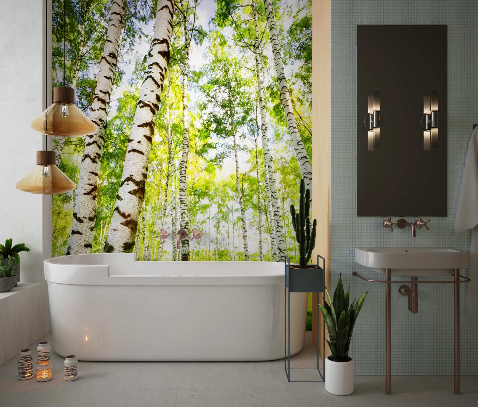 Fototapeta letný háj štíhlych briez