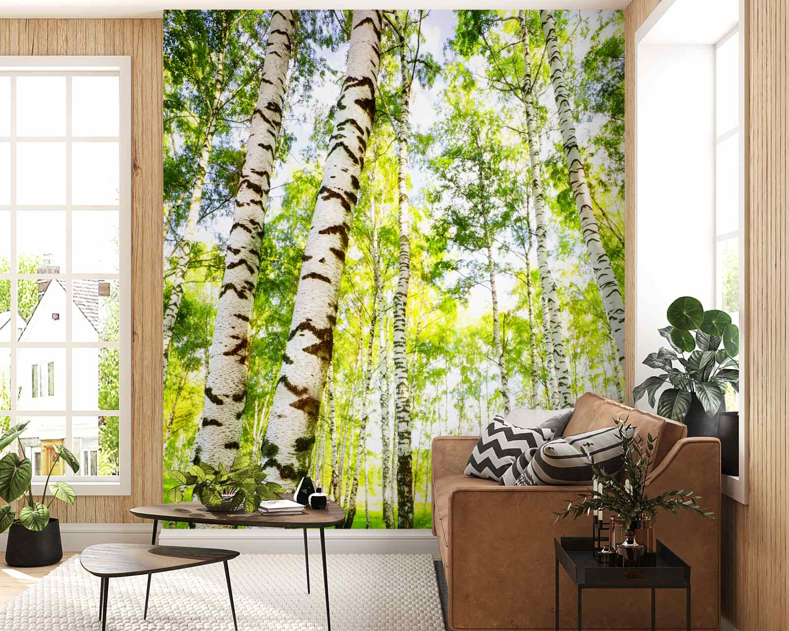 Fototapeta letný háj štíhlych briez