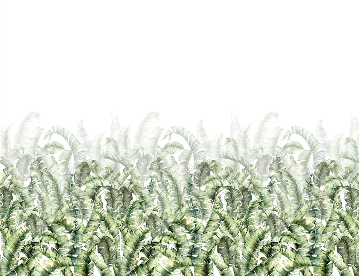 Fototapeta hustá biela papraď a hmla