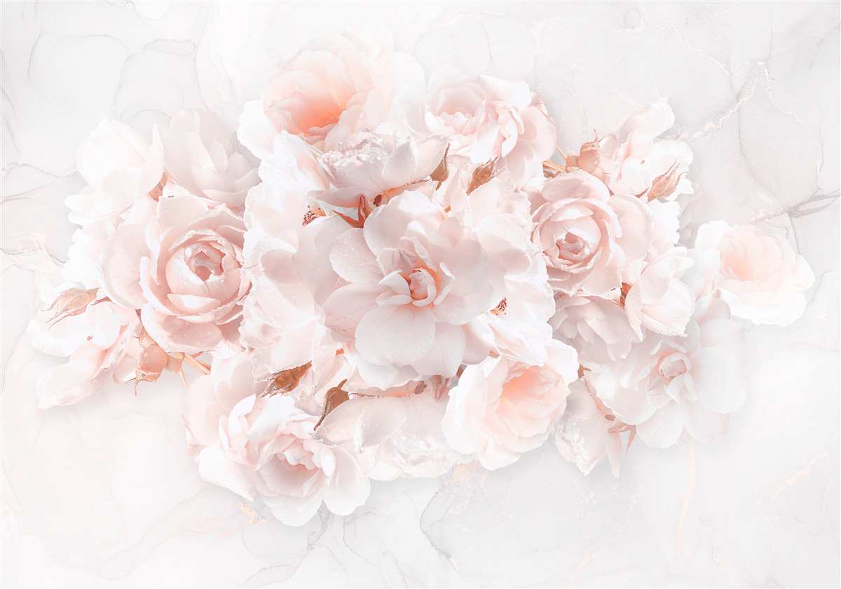 Fototapeta zloženie vynikajúcich pivoniek