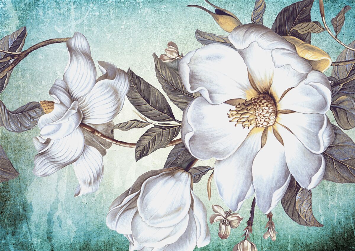 Fototapeta kvitnú snehobiele kvety