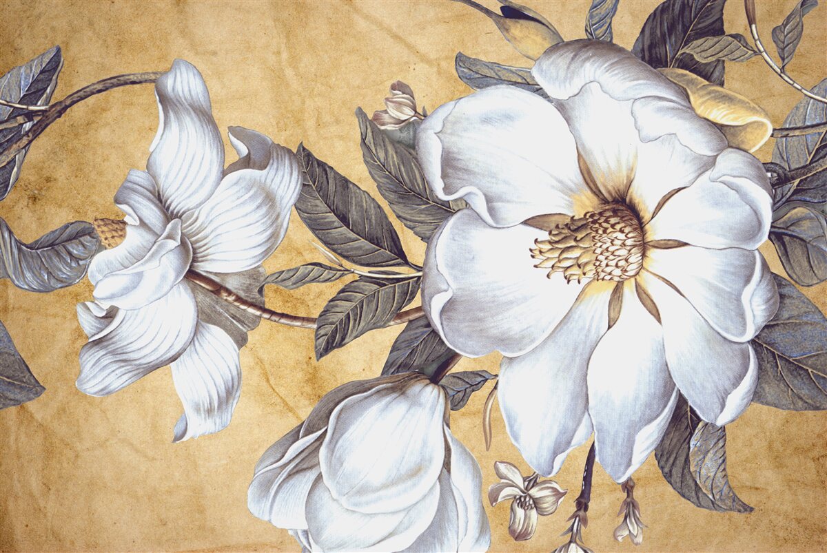 Fototapeta kvitnúce biele puky na konároch