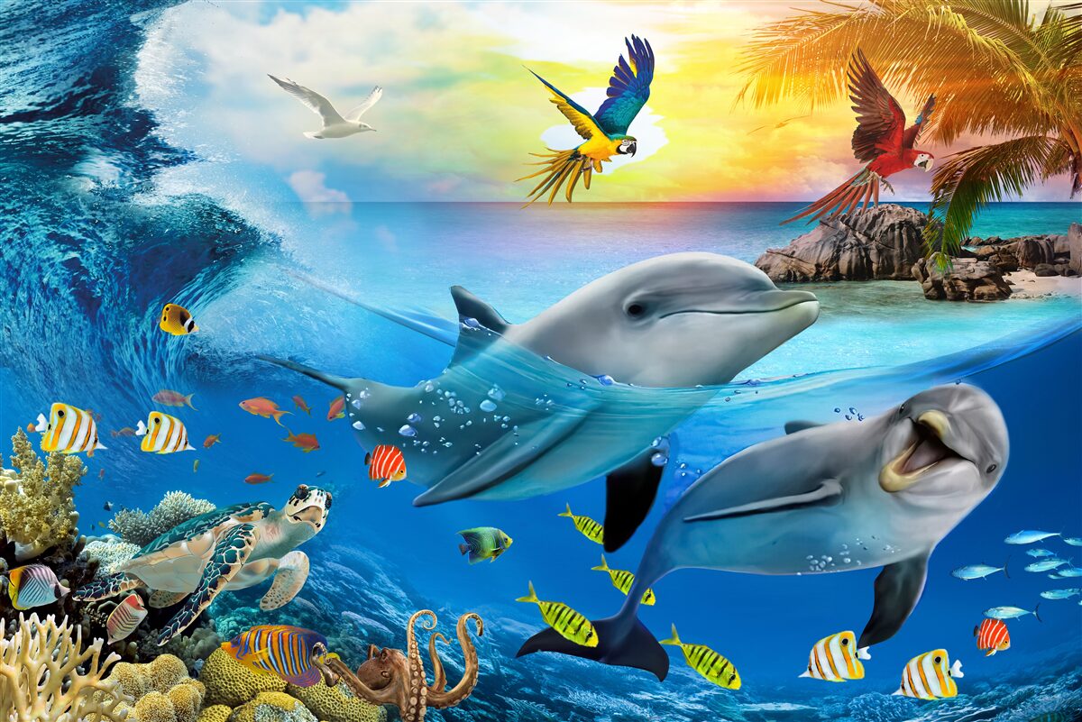 Fototapeta Na delfíny čaká úsvit