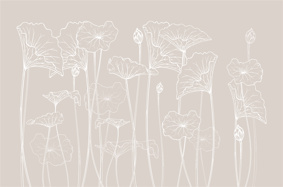 Fototapeta maky v abstrakcii