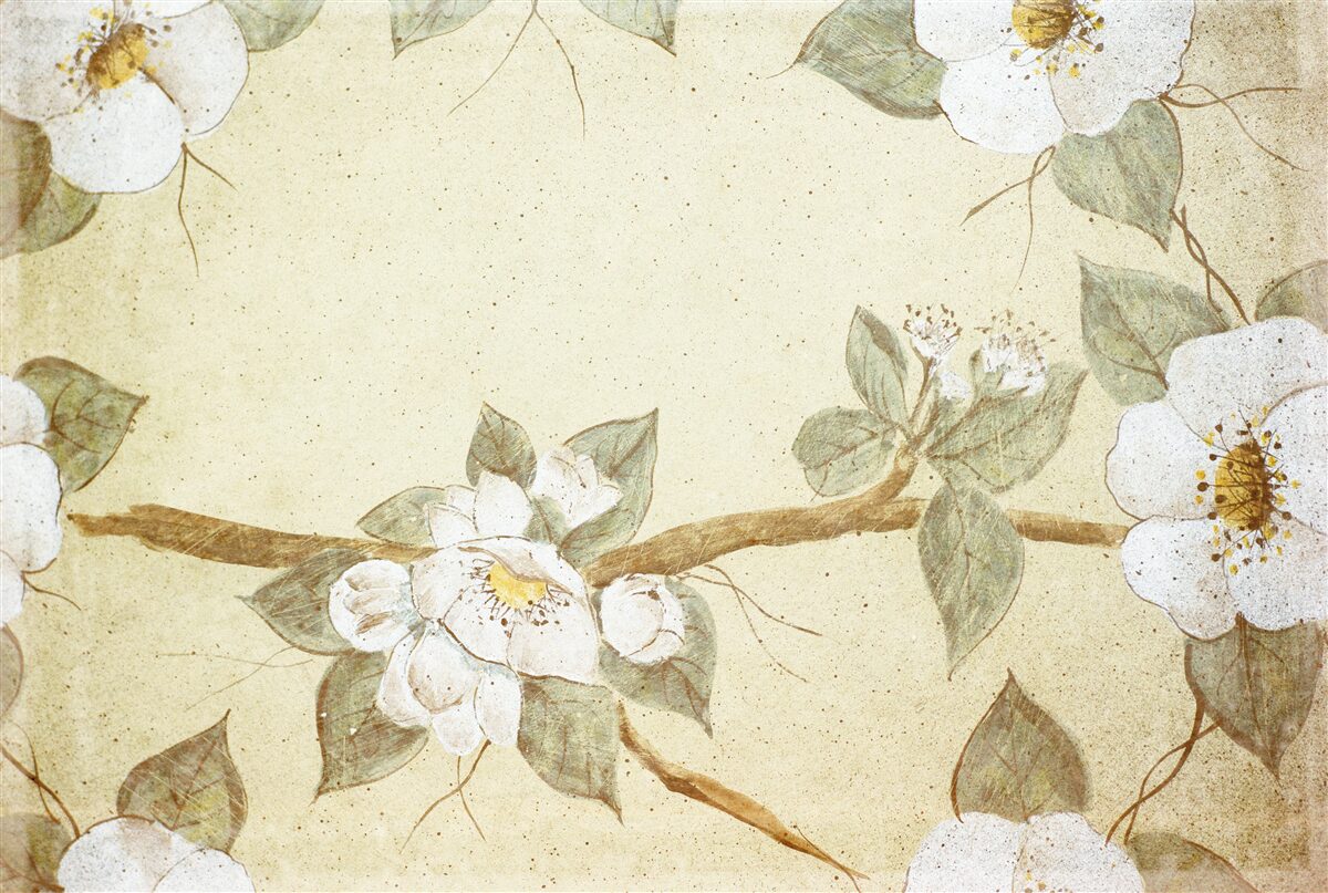 Fototapeta kvety kvitnú na konároch