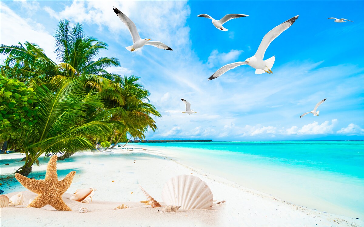 Fototapeta pokojné tropické pobrežie