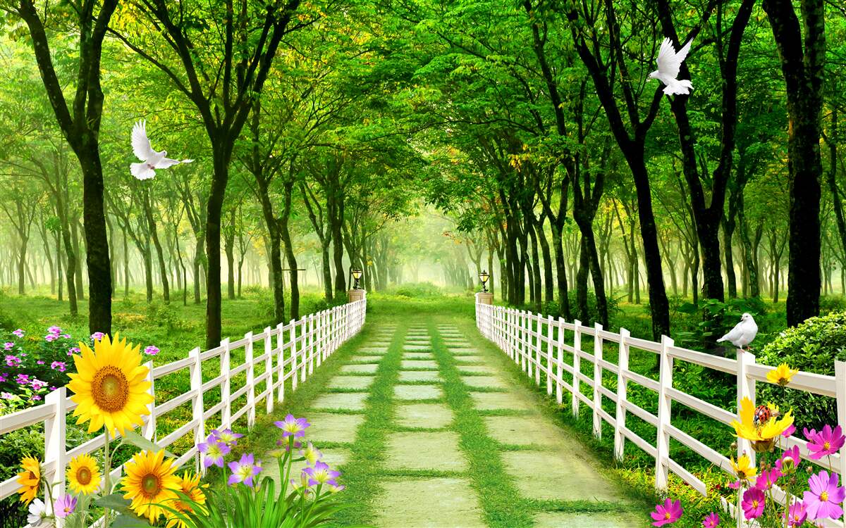 Fototapeta svieži zelený les a cesta posiata kvetmi