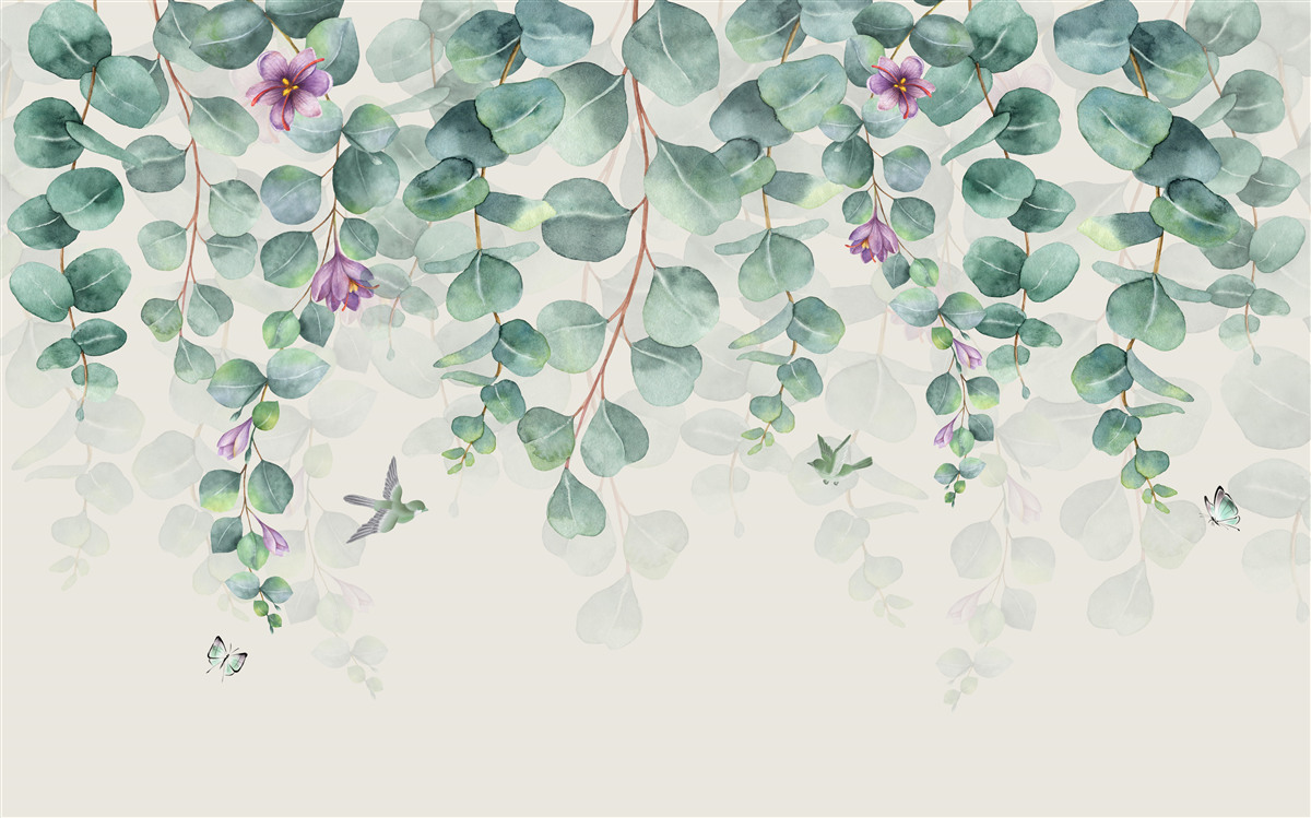 Fototapeta eukalyptus v kvete