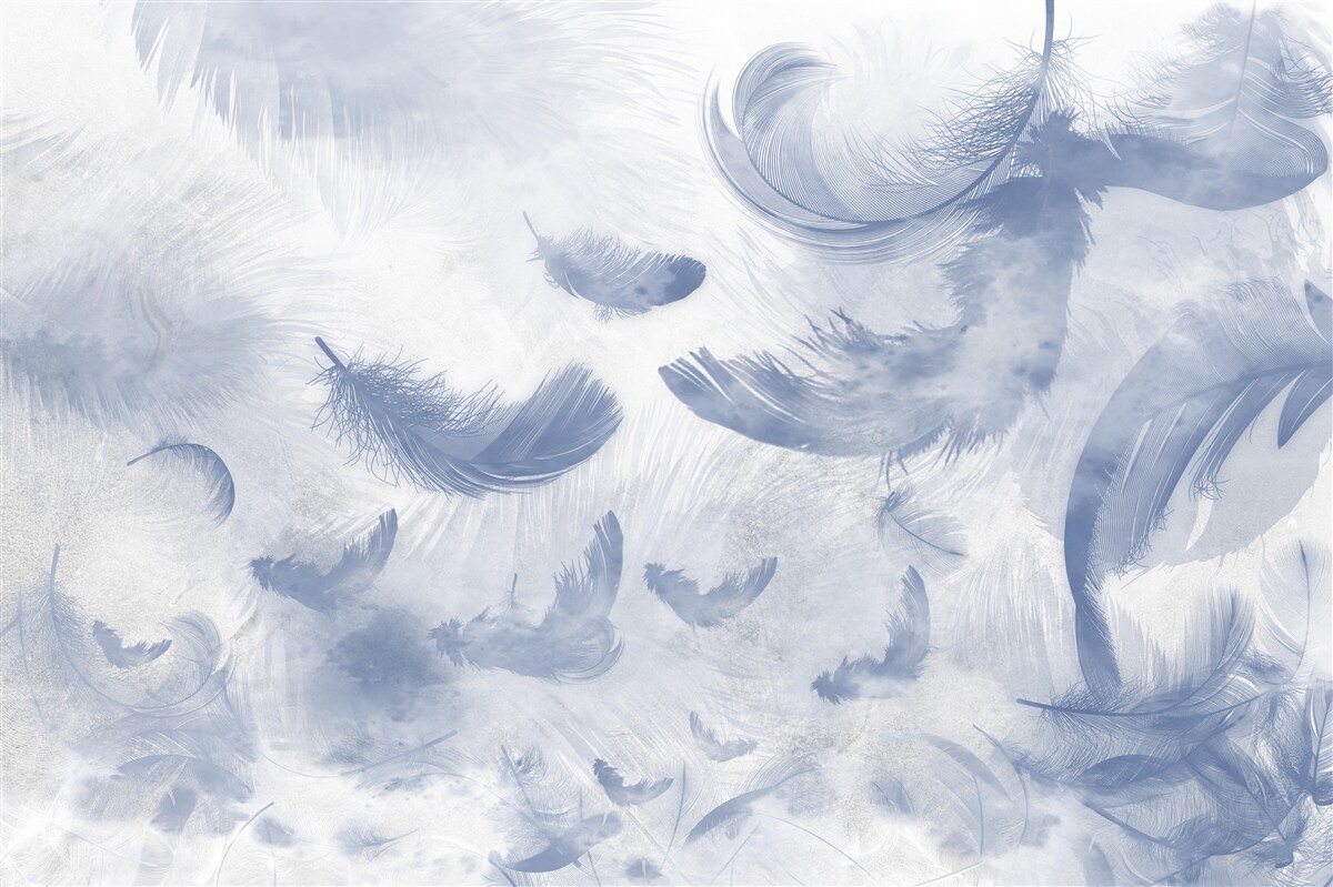 Fototapeta lietajúce nebeské perie