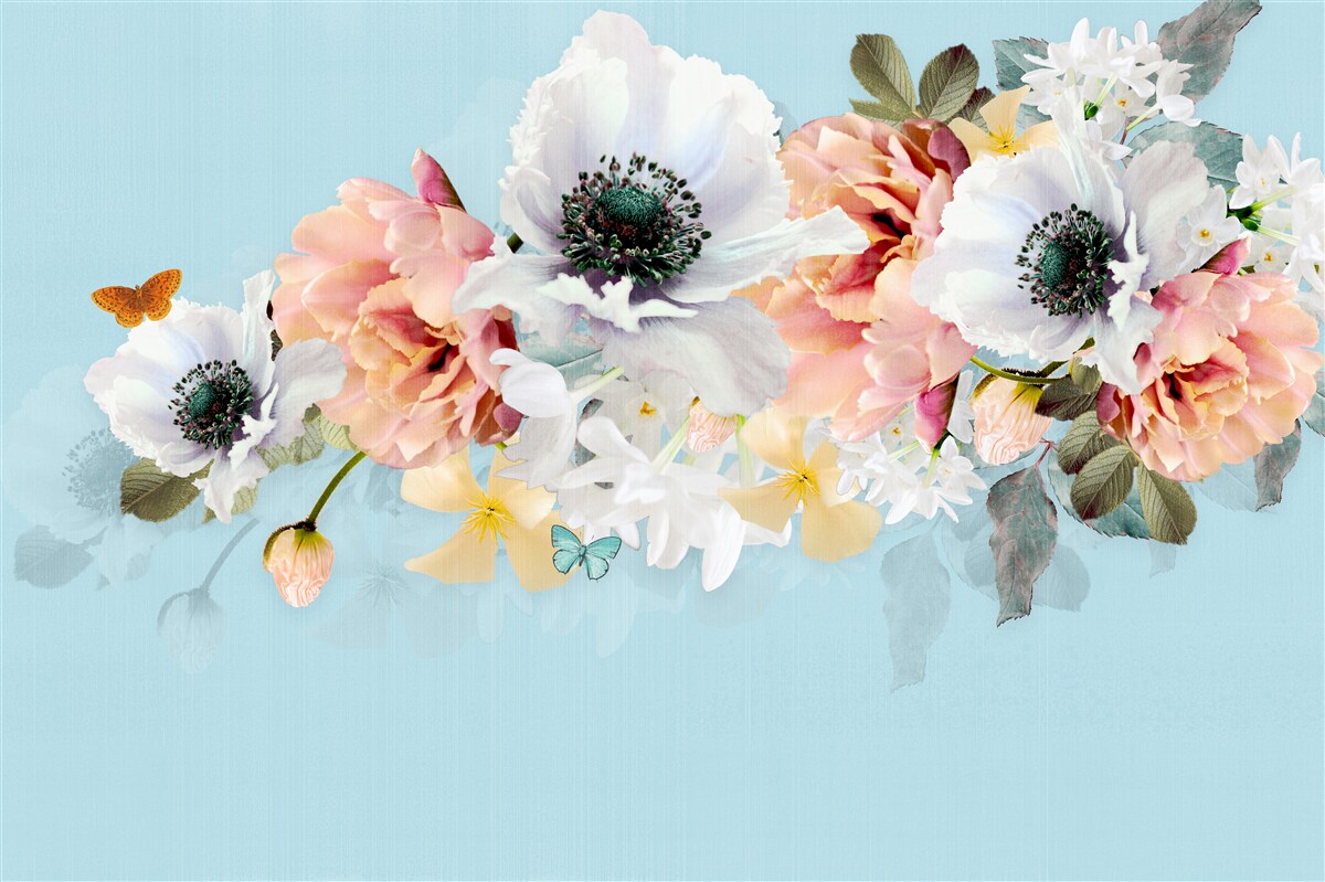 Fototapeta kytica bielych makov a iných kvetov