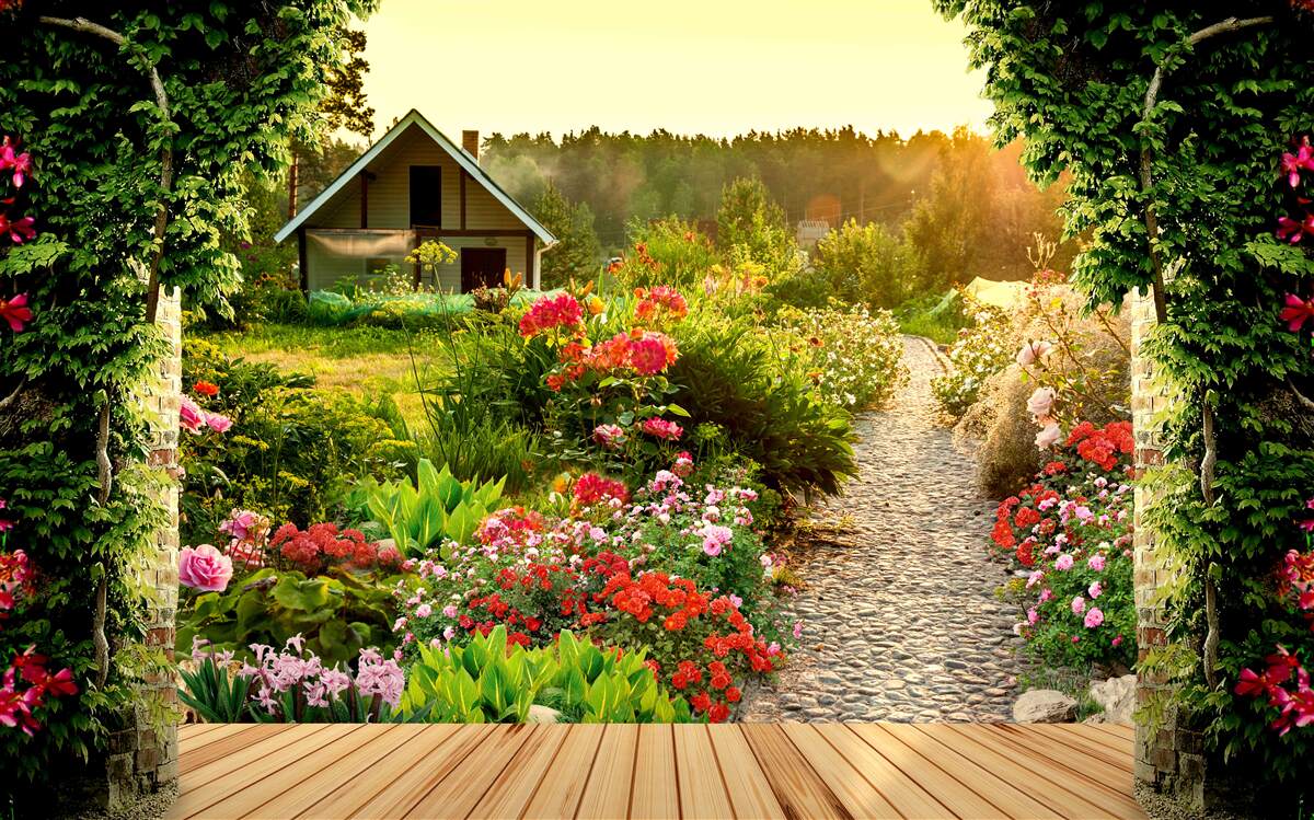 Fototapeta prírodná krajina s domom