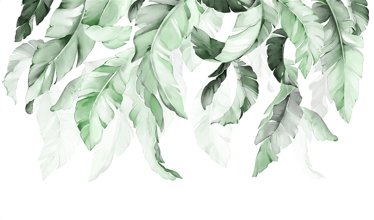 Fototapeta listy paprade visia