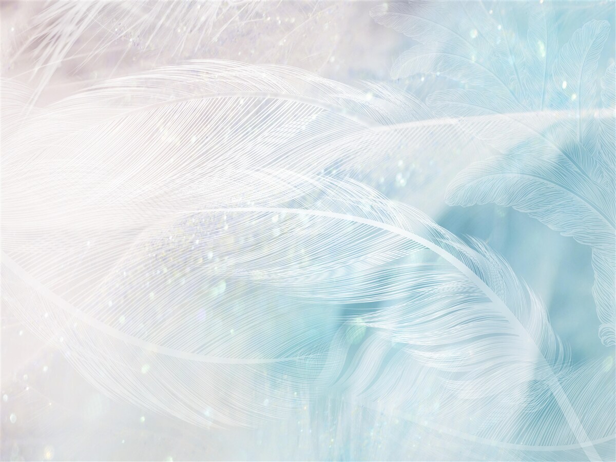 Fototapeta perie v abstrakcii