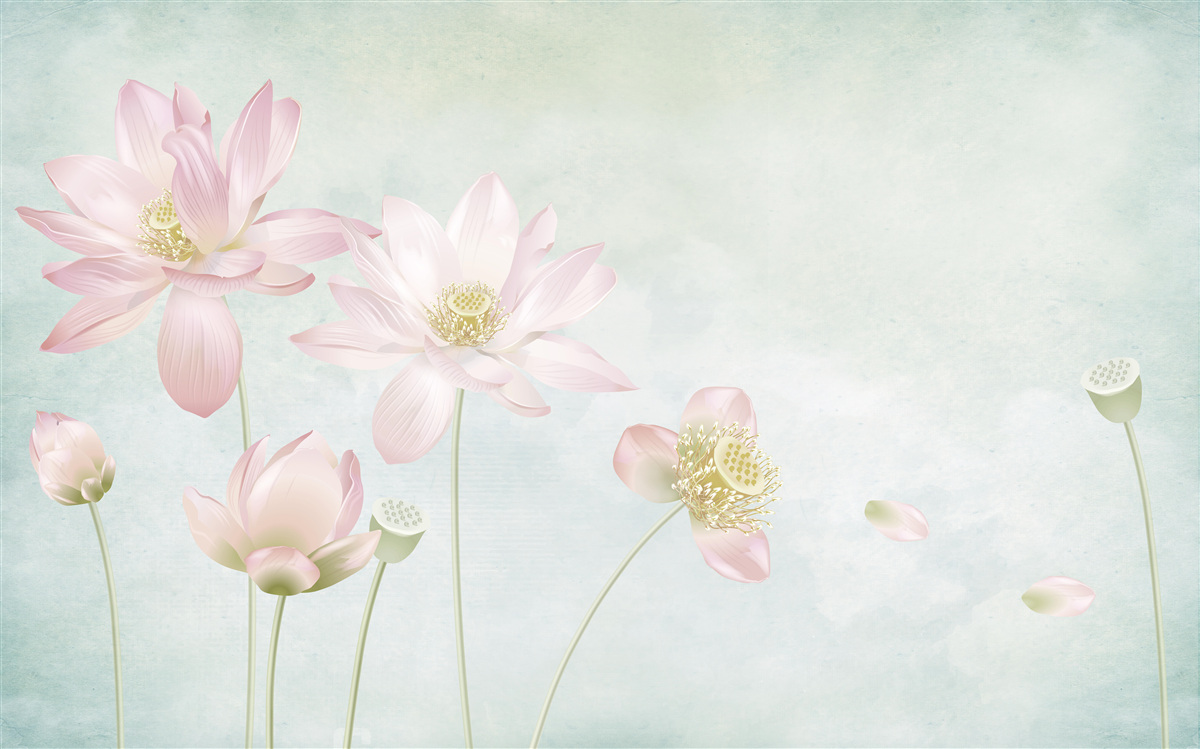 Fototapeta pôvabné maky na modrom pozadí