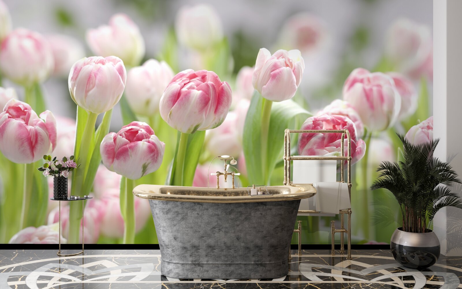 Fototapeta neotvorené púčiky tulipánov