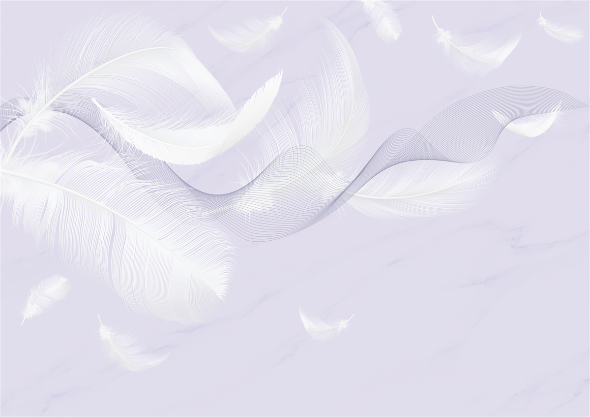 Fototapeta Snehobiele, vzdušné perie