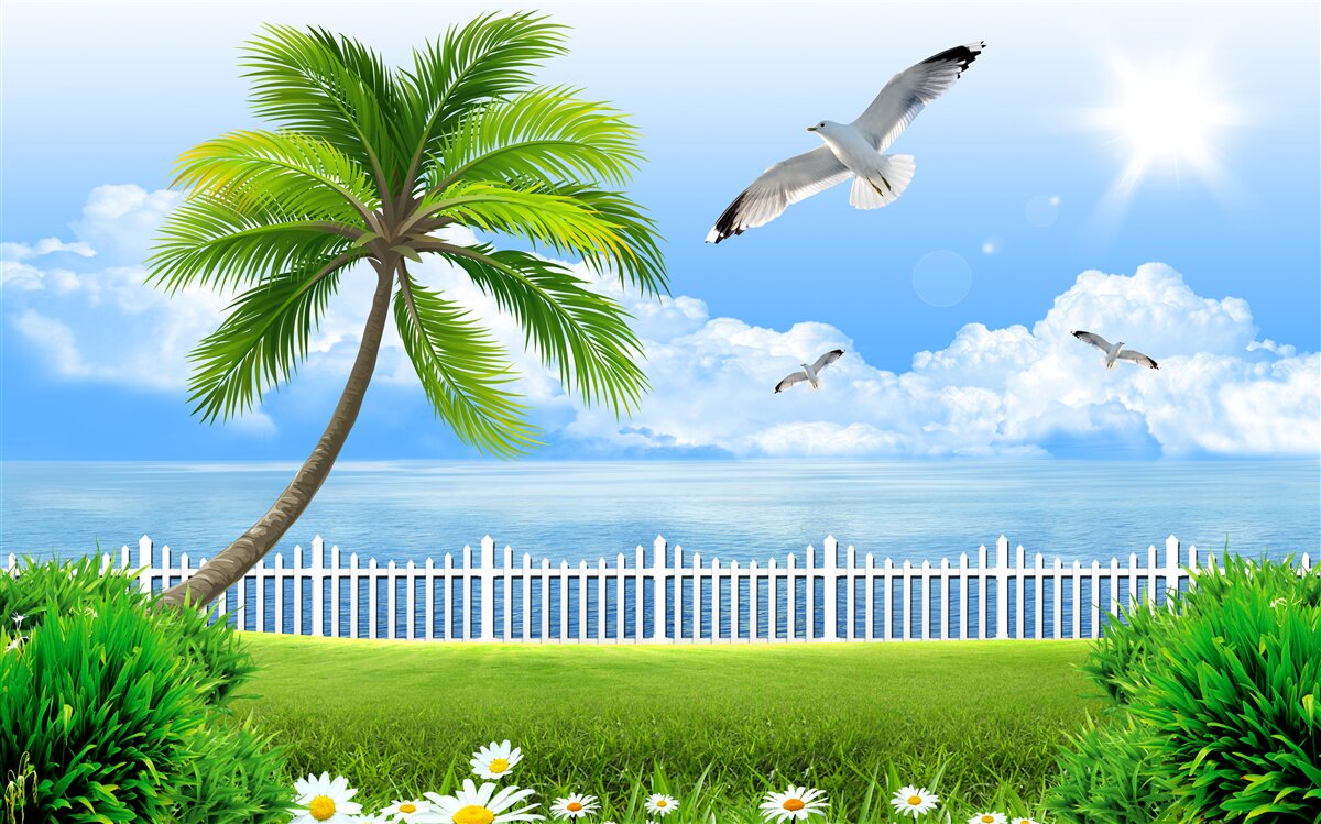 Fototapeta slnečný deň v blízkosti pobrežia