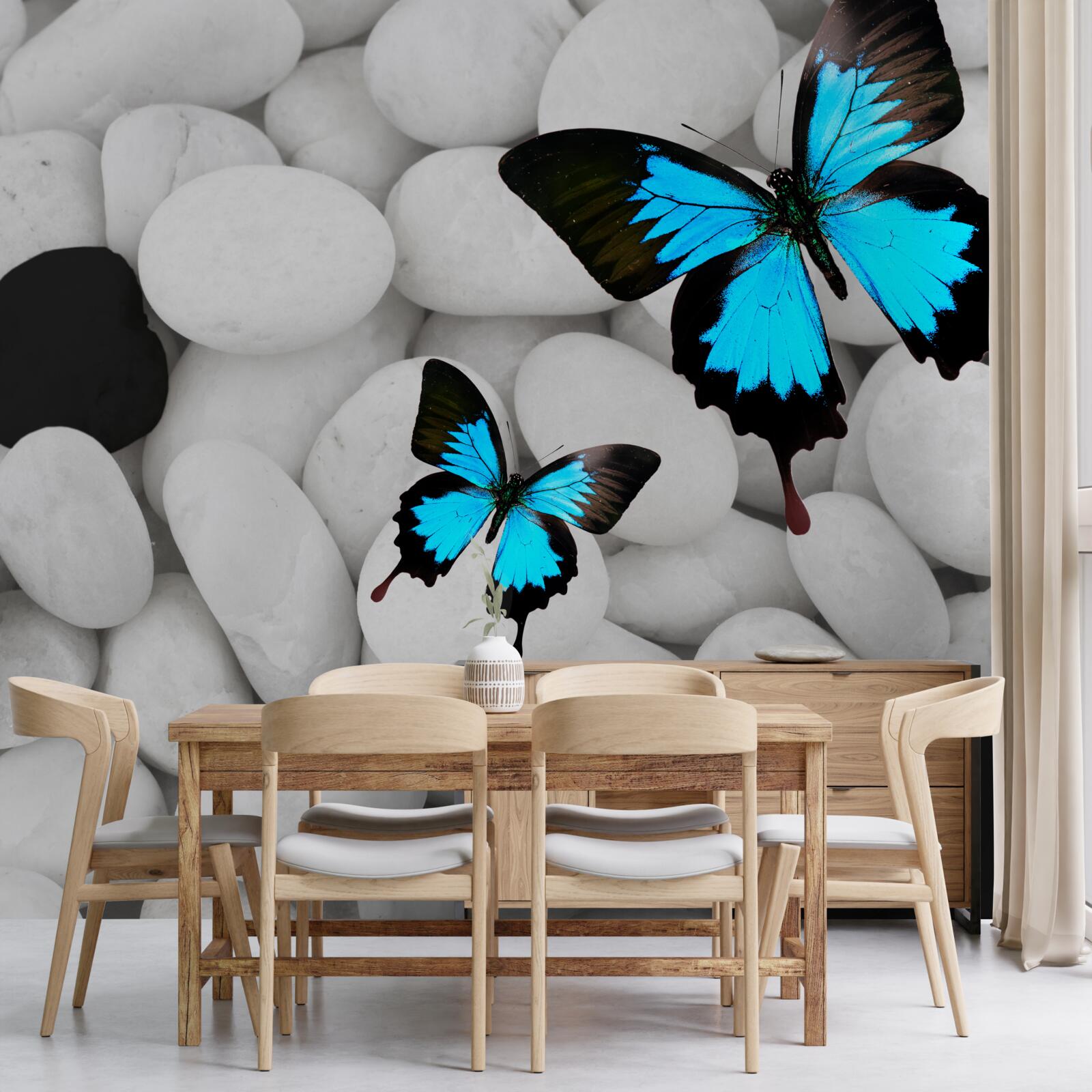Fototapeta farebné motýle na svetlých kameňoch