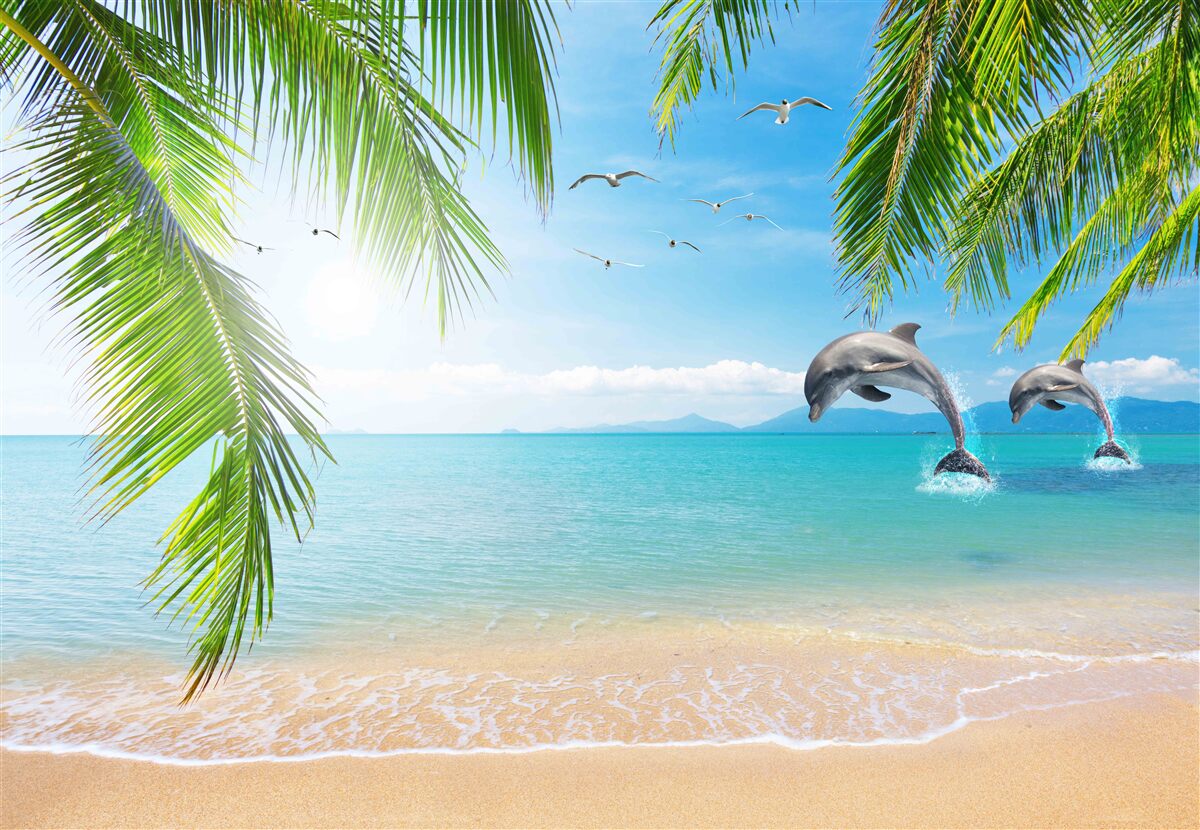 Fototapeta dva delfíny pri pobreží s azúrovou vodou